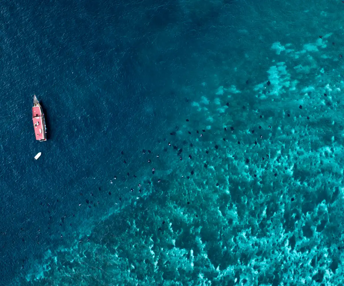 Manta Point in Komodo National Park from the air