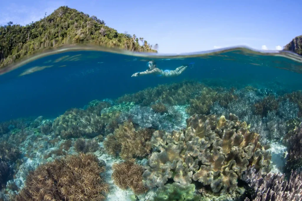 Snorkelling over the reef off Sebayur Island