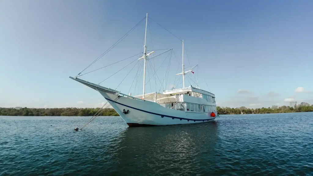 Sailing in Komodo National Park