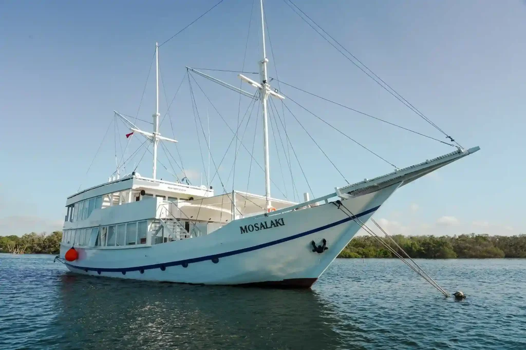 Sailing in Komodo National Park