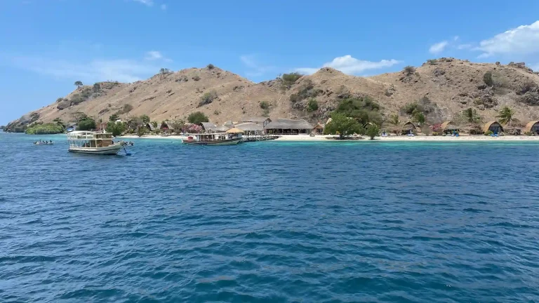 A reef dive site in Komodo National Park